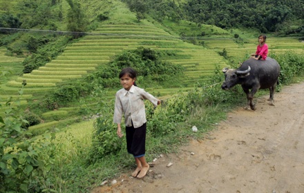 Uớc mơ trẻ em vùng cao bớt khó nhọc - 3 Uớc mơ trẻ em vùng cao bớt khó nhọc - 3