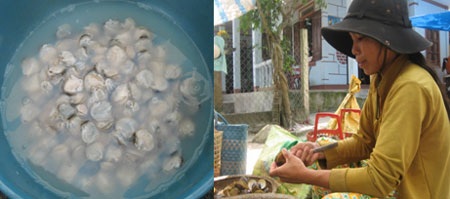 “Nghề độc” trên phá Tam Giang - 10 “Nghề độc” trên phá Tam Giang - 10