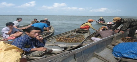 “Nghề độc” trên phá Tam Giang - 7 “Nghề độc” trên phá Tam Giang - 7