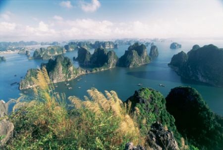 Unesco và giáo dục Đại học - 1 Unesco và giáo dục Đại học - 1