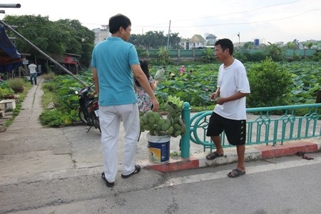 “Ăn theo” mùa sen, chủ đầm Hà Nội kiếm bạc triệu mỗi ngày