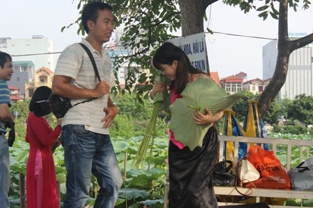 “Ăn theo” mùa sen, chủ đầm Hà Nội kiếm bạc triệu mỗi ngày