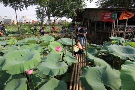 Họ có cả những cuốn catalog làm mẫu để cho khách chọn…