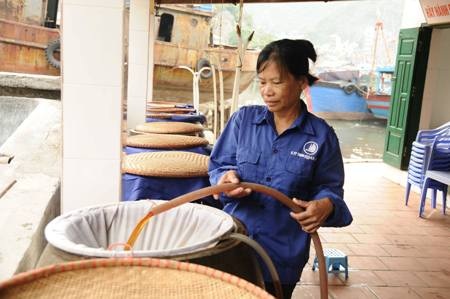 Ra Cát Hải xem dân làm mắm - 7 Ra Cát Hải xem dân làm mắm