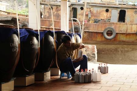 Ra Cát Hải xem dân làm mắm - 9 Ra Cát Hải xem dân làm mắm