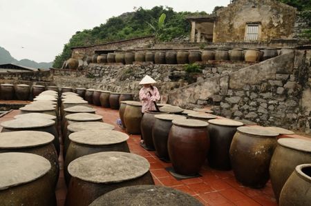 Ra Cát Hải xem dân làm mắm - 2 Ra Cát Hải xem dân làm mắm