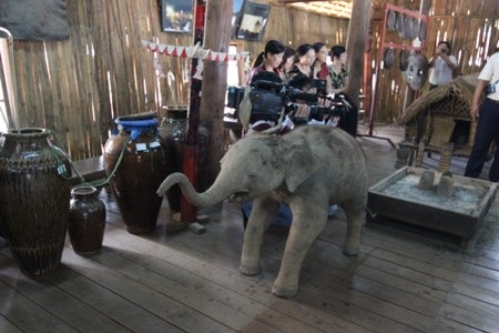 Miệt mài “chạy sô”, Voi Đắc Lắc trước nguy cơ bị xóa sổ