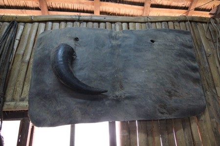 Miệt mài “chạy sô”, Voi Đắc Lắc trước nguy cơ bị xóa sổ