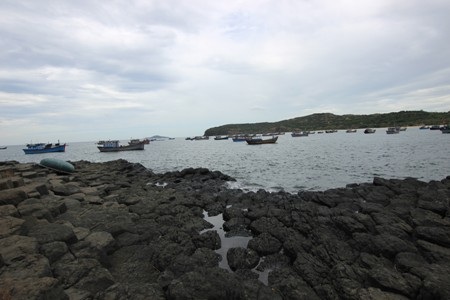 Ghềnh Đá Đĩa - “Món quà” tạo hóa ban tặng cho biển Phú Yên