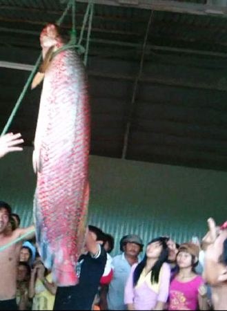 Những chuyện lạ có thật ở Việt Nam