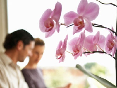 Tình yêu đến muộn - 1