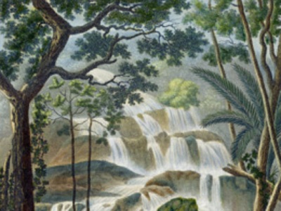 Nhà vua thông minh - 1