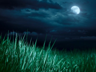 Những vầng trăng đi qua - 1