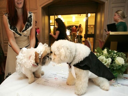 “Cảnh nóng” trong thế giới động vật - 9 “Cảnh nóng” trong thế giới động vật - 9