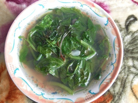 Nhớ canh rau tập tàng - 1 Nhớ canh rau tập tàng