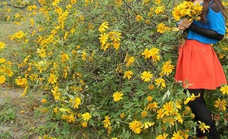 Trên đời không còn tình yêu chung thủy? - 1 Trên đời không còn tình yêu chung thủy?