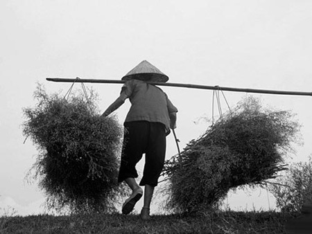 Bà nội của cháu ngoại tôi - 1 Bà nội của cháu ngoại tôi