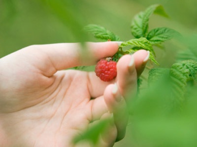 Tâm sự của phụ nữ đơn thân