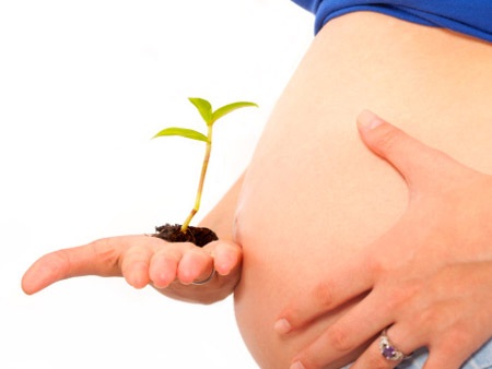 Nhà có thêm nhân khẩu