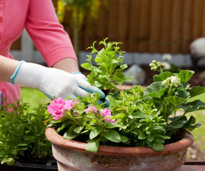 Thú vui riêng của phụ nữ - 1 Thú vui riêng của phụ nữ