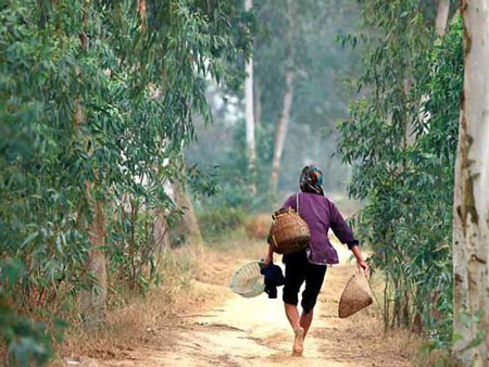 Những tấm lưng còng - 1 Những tấm lưng còng