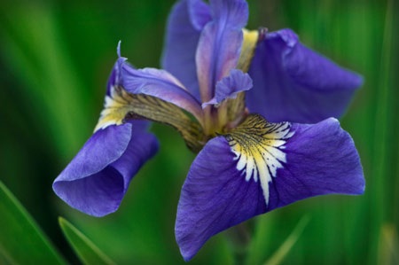 Bên đời hiu quạnh