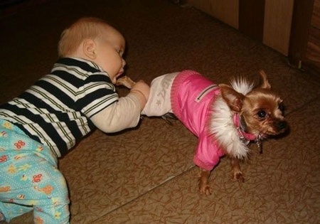 Cứu tôi! Cứu tôi! Sao chưa có ai thổi còi nghỉ giữa hiệp?