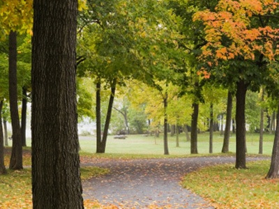 Đường xưa lối cũ - 1 Đường xưa lối cũ