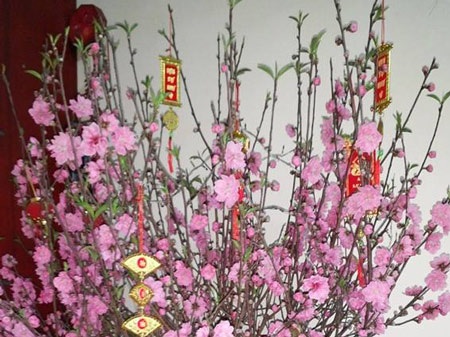 Tết đầu ra riêng - 1 Tết đầu ra riêng