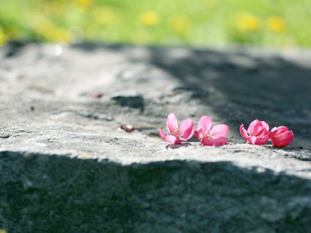 Những mảnh đời không có Tết