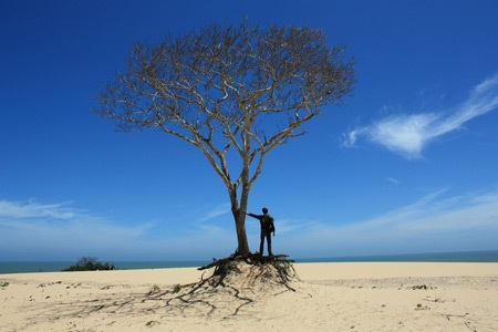 Cô ấy giết con tôi - 1 Cô ấy giết con tôi
