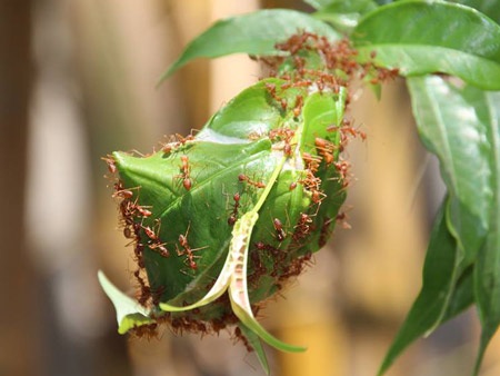 Tình cờ đau đớn - 1 Hình minh họa: PNO