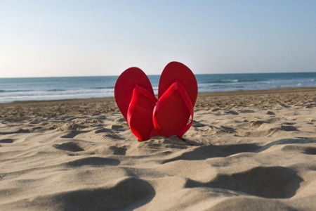 Điều tra khảo sát cho thấy, 11% đàn ông Mỹ kết thúc quan hệ
tình cảm chỉ vì một con mèo.