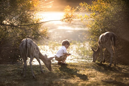 Bộ ảnh tuyệt đẹp của bố chụp con trai - 5 Huyền Anh