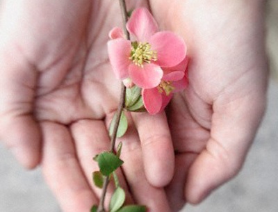 Mạnh dạn từ bỏ để đi tìm hạnh phúc - 1 Mạnh dạn từ bỏ để đi tìm hạnh phúc