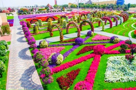 Lạc bước vào vườn hoa đẹp nhất thế giới ở Dubai - 1 Khu vườn Dubai Miracle Garden đang lập nhiều kỷ lục Guinness