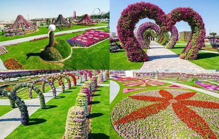 Lạc bước vào vườn hoa đẹp nhất thế giới ở Dubai - 10 Cổng hoa tết hình trái tim