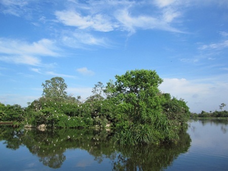 Khung cảnh non nước hữu tình