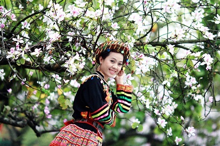 Ngẩn ngơ trước những loài hoa tuyệt đẹp vùng Tây Bắc - 2 Ngẩn ngơ trước những loài hoa tuyệt đẹp vùng Tây Bắc