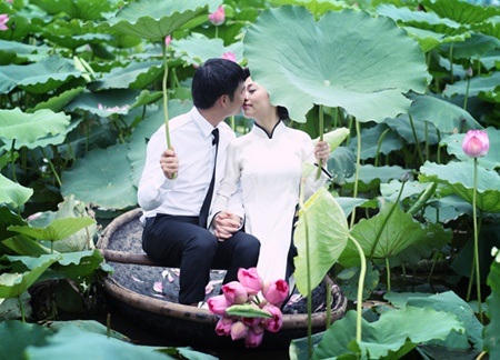 Đầm sen Hồ Tây