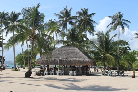 Giữa cái rét
lạnh giá cuả mà đông, Philippines nắng
vẫn chan hòa