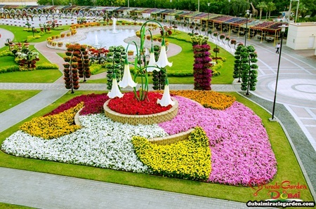 Lạc bước vào vườn hoa đẹp nhất thế giới ở Dubai - 3 Hoa nhiều màu sắc được phối với nhau rất tinh tế