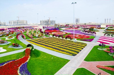 Lạc bước vào vườn hoa đẹp nhất thế giới ở Dubai - 6 Những dòng suối hoa tuôn chảy