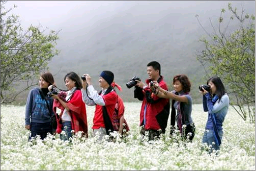 Chưa Tết, doanh nghiệp đã tất tả chạy bán tour - 2 Chưa Tết, doanh nghiệp đã tất tả chạy bán tour