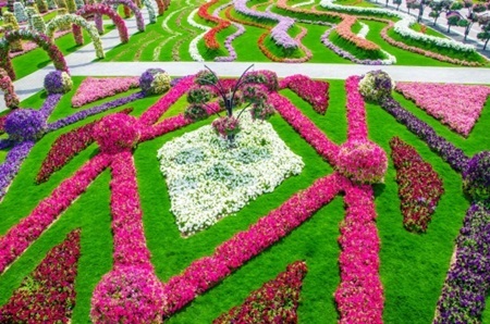 Có gần 50 triệu bông hoa khoe sắc tại đây