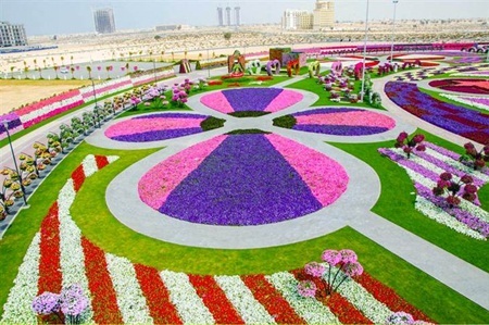 Cả khu vườn là một bức tranh nghệ thuật khổng lồ