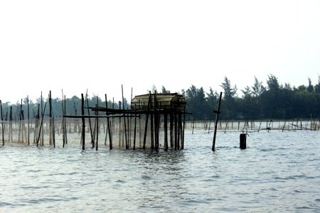 Đông về đầm phá Tam Giang