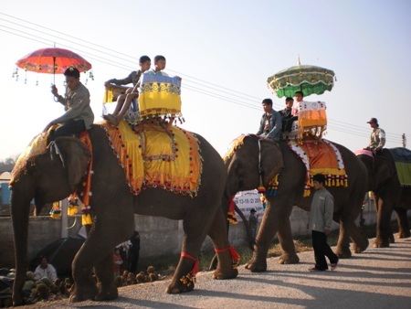 Lào lần đầu tiên tổ chức Caravan Voi