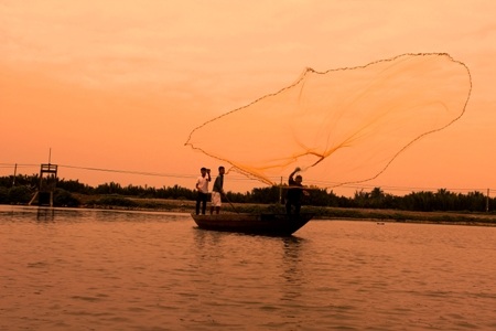 Những vó lưới tung xuống và cất lên trong niềm hân hoan của ngư dân nơi đây giữa dòng Thu Bồn.