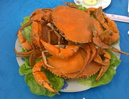 Đông về đầm phá Tam Giang - 6 Đông về đầm phá Tam Giang